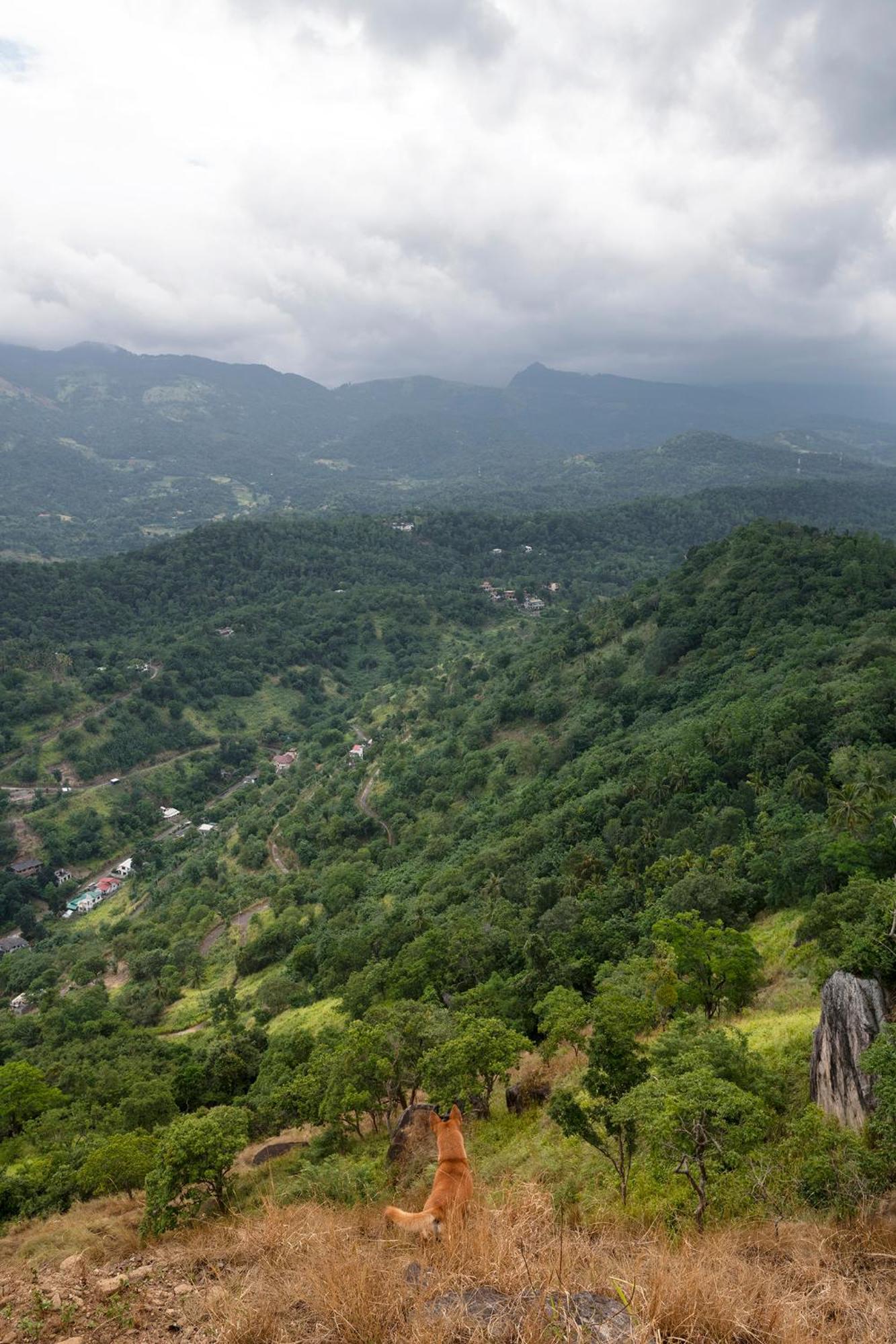 Kandy Victoria Eco Resort Exterior photo